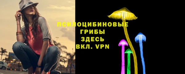 MDMA Premium VHQ Аркадак