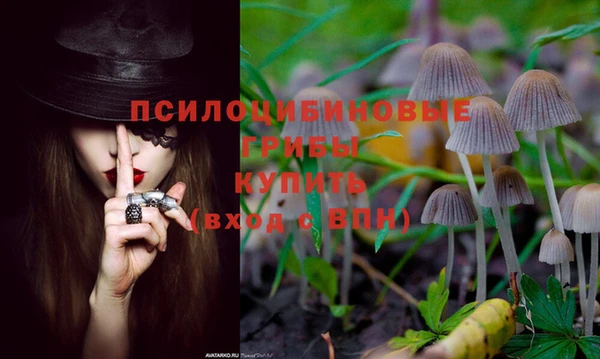 MDMA Premium VHQ Аркадак